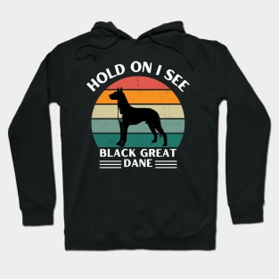 Hold On I See a Black Great Dane Hoodie